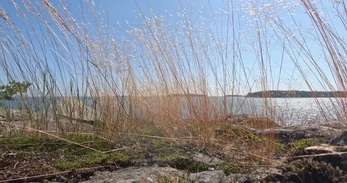 Scenic archipelago idyll, featuring granite rock formations and seaside vegetation in summer with clear blue sky, Pentala, Espoo, Finland, Europe.