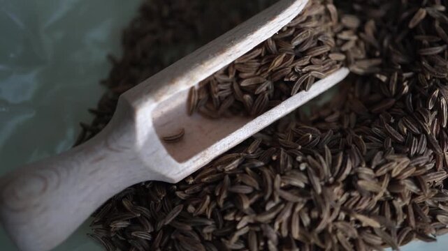 Fragrant cumin is poured into a cup. Caraway seeds. Healthy eating and lifestyle. 