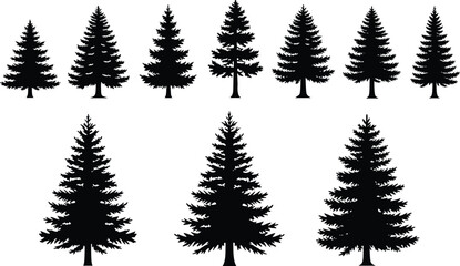 Obraz premium Pine tree silhouette collection, black evergreen conifer trees illustration set for forest landscape design, winter nature artwork, logo, print, and vector use