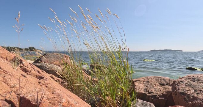 Scenic archipelago idyll, featuring granite rock formations and seaside vegetation in summer with clear blue sky, Pentala, Espoo, Finland, Europe.