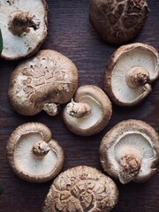 신선한 유기농 표고버섯