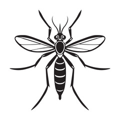 Fototapeta premium Aedes aegypti mosquito