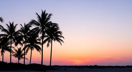 Silhouette of palm trees on a beach at sunset