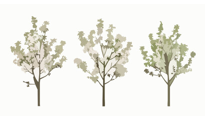 Obraz premium Kaido Crab Apple Tree Vector Illustration with Spring Blossoms and Ornamental Garden Design