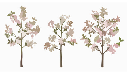 Obraz premium Malus micromalus Kaido Crab Apple Trees Vector with Spring Blossoms and Ornamental Foliage