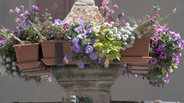 Pots de fleur sur fontaine