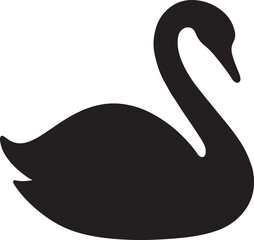 black swan vector illustration © MD