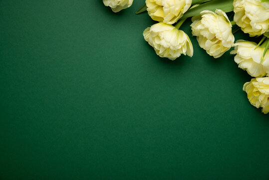 White yellow tulip bouquet on green background top view. Happy spring Holidays. Valentine's day. Birthday. Women's day. Mother's day. Easter. Floral wedding card, invitation, banner, frame. Beauty.