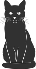 Black cat vector illustration © artisyancanvas