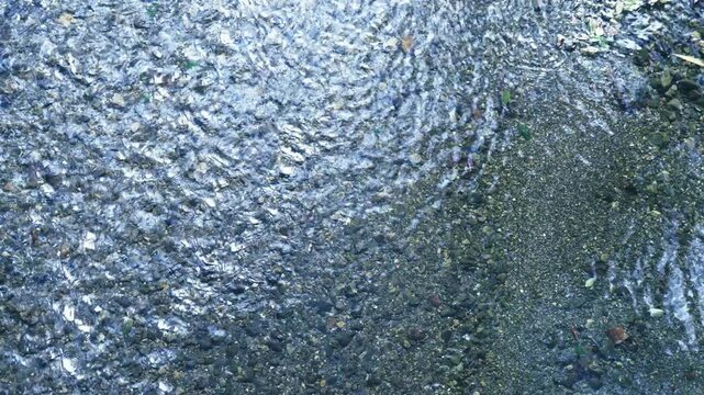 太陽の光に輝く澄んだ小川の水面と川底の砂利や石のテクスチャ
