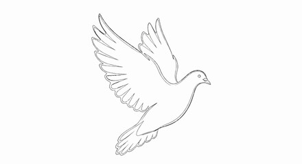 Obraz premium Sketch of a dove in flight against a white background