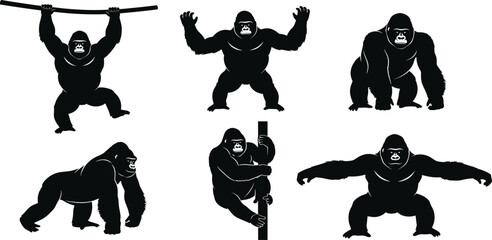 Gorilla silhouette collection, silverback primate vector, wild ape movement icons, jungle animal design elements, powerful monkey set, safari wildlife graphics. © RABBI