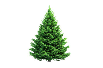 Obraz premium Green Christmas tree with sparkling lights isolated on transparent background