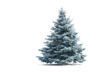 Fototapeta premium Christmas tree decorated with gifts and festive ornaments isolated on transparent background