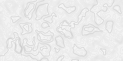 Minimal Topographic Map with Detailed Contour Lines and Mountain Elevation Relief Abstract Background Texture Inspired by Natural Terrain Mapping © ALAMA
