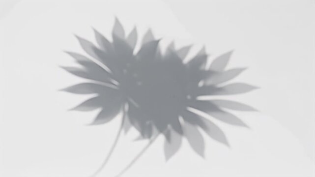 Ethereal floral shadow projected onto a pristine white background with soft aesthetics