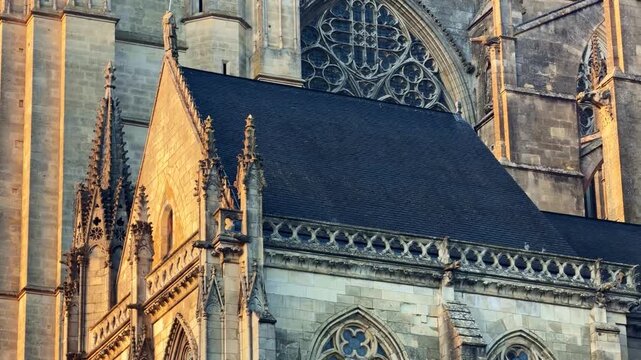 Close-up of Le Mans Cathedral stonework glowing in golden sunset light, revealing Gothic details as a bird briefly crosses the frame. France