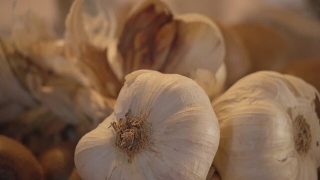 Close-up view of whole raw garlic bulbs with white papery skin. Essential natural organic ingredient for vegetarian cooking and health.