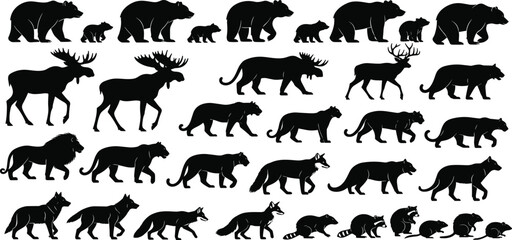 Black silhouettes of various wild animals, including bears, moose, deer, lions, wolves, foxes, raccoons, and rodents, isolated on white background. © Zakia