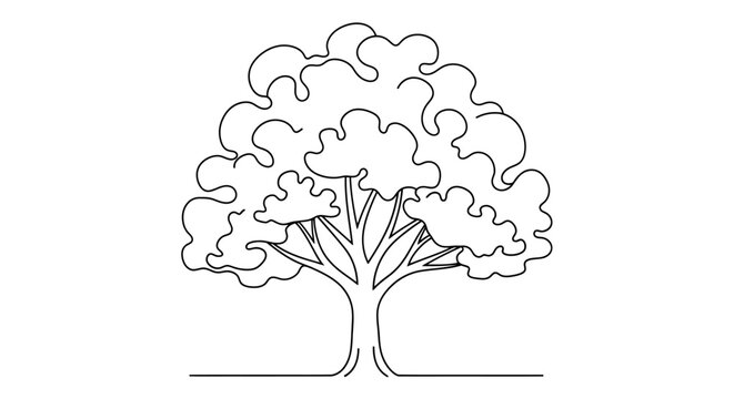 A minimalist black and white line drawing of a large, leafy tree with a thick trunk and branches spreading outwards.
