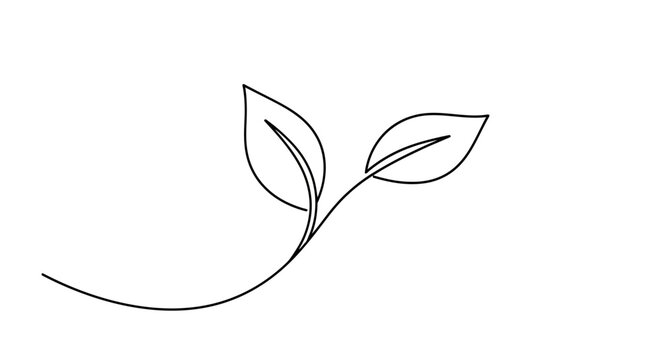 A minimalist line drawing of two delicate green leaves emerging from a single stem.