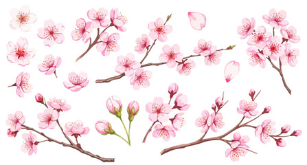 桜のイラストパーツセット（枝・花びら・蕾・単体）,春の素材,卒業,入学,お花見,手描き風