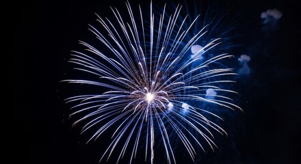 Vibrant Fireworks Explosion in Dark Night Sky.