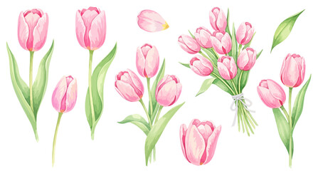 ピンクのチューリップのイラストパーツセット（花束・単体・花びら・リボン）,春の花,母の日,お祝い