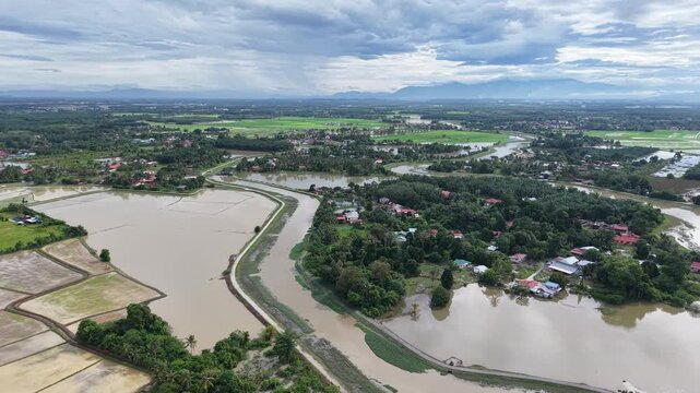Aerial View Labuh Banting Green River Floodplain Rice Fields