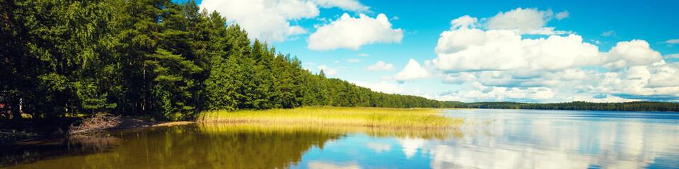 Fototapeta premium Lakeshore with trees and blue cloudy sky. Beautiful summer nature Finland