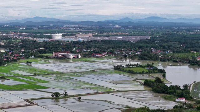 Labuh Banting green paddy fields and village panorama
