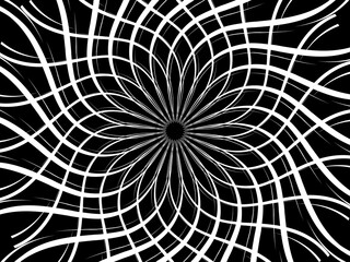 Obraz premium Twisted white lines on black background. Circular batik pattern. The lines form white flowers. Vector illustration.