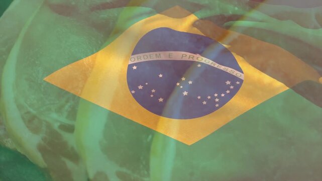 Brazil flag motif rippling after light shift warping circle tilting rhombus revealing meat texture