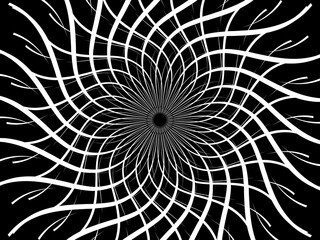 Obraz premium Twisted white lines on black background. Circular batik pattern. The lines form white flowers. Vector illustration.