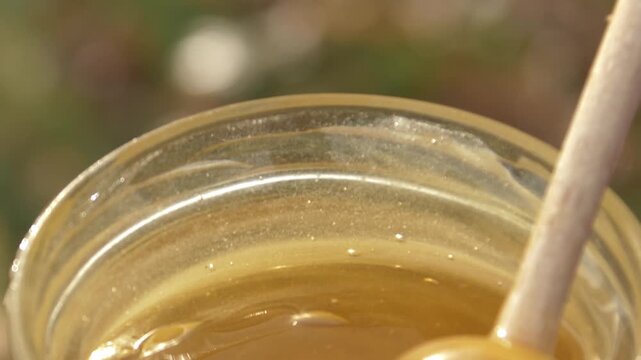 Close-up detailed view of a beekeeper's hand stirring creamy white rapeseed honey in a glass jar at the apiary, showcasing the smooth texture