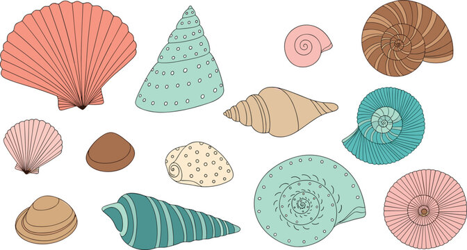 Pastel sea shell collection illustration. Hand drawn spiral, scallop and conch shells set. Cute marine elements isolated on transparent background.