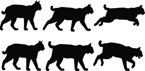 Bobcat silhouette collection, lynx wild cat vector, predatory animal icons, wildlife hunting design elements, forest feline movement, mountain cat silhouettes. © Nowshad