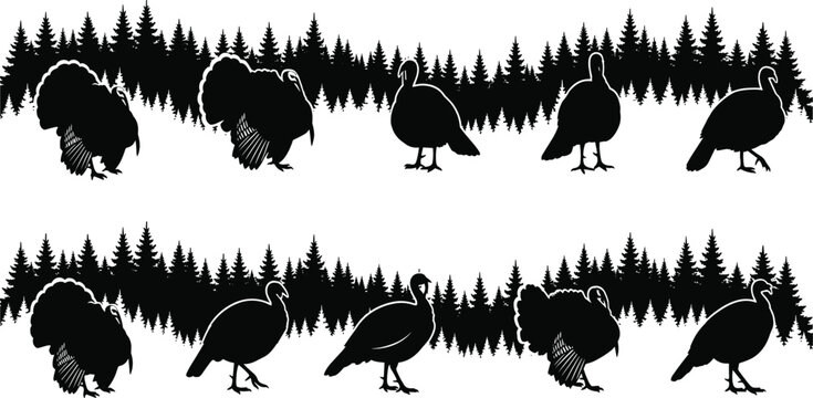 Wild turkey silhouette collection, forest pine tree background, hunting season design elements, poultry birds vector, nature wildlife landscape, woodland animal icons.