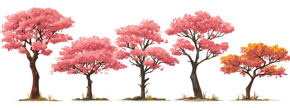 cherry tree sacura  in bloom flat style vector illustration isolated on white background