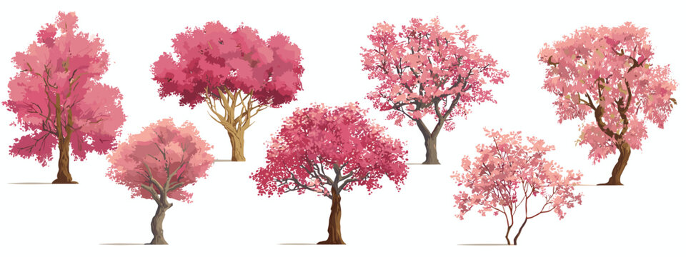 cherry tree sacura  in bloom flat style vector illustration isolated on white background