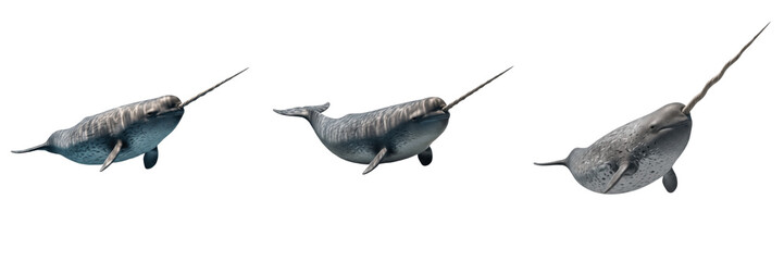 Set Narwhal Isolated Arctic Whale Collection on White Background Oil Paint Style © jamilkhan