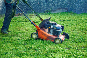 Obraz premium Grass cutting on green lawns with mini handle lawn mower