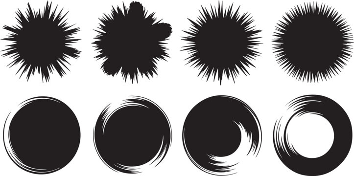 Set of four different spiky sea urchin and spiral shell vector illustrations isolated