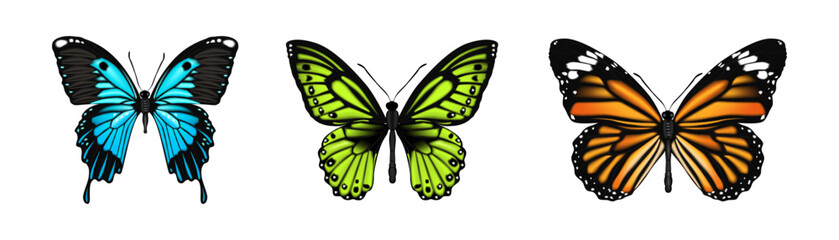 Butterflies with bright colorful camouflages, isolated nectar feeding insects set. Vector realistic small creature with wings and antennae. Moth nature and fauna biodiversity of surroundings © Sensvector