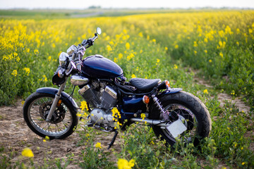 Customized bobber motorcycle in a field in summer. Single-seater motorcycle homemade. © velimir