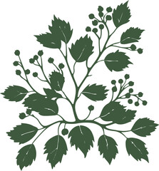  Minimalist natural floral vector sticker of berry branch with leaves, bold black thick clean outline, pure white background 1 © MdRubel