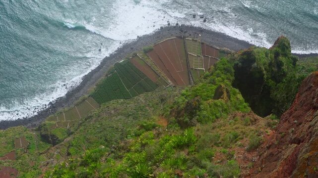 Bird's eye view of coastal farm terraces by the turquoise ocean.