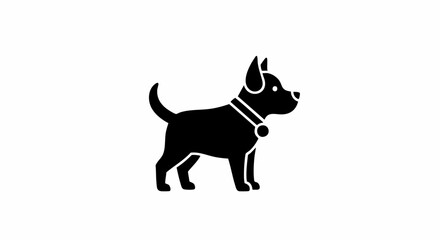 Fototapeta premium silhouette of a dog