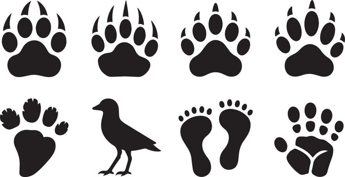 Collection of black animal paw prints and human footprints isolated on a white background for graphic design elements