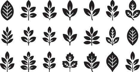 Collection of diverse black leaf icons representing nature and growth with intricate vein details on transparent background © md